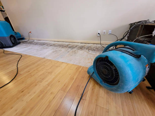 Professional Water Damage Repair technician working in Parlier, CA